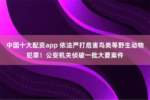 中国十大配资app 依法严打危害鸟类等野生动物犯罪！公安机关侦破一批大要案件