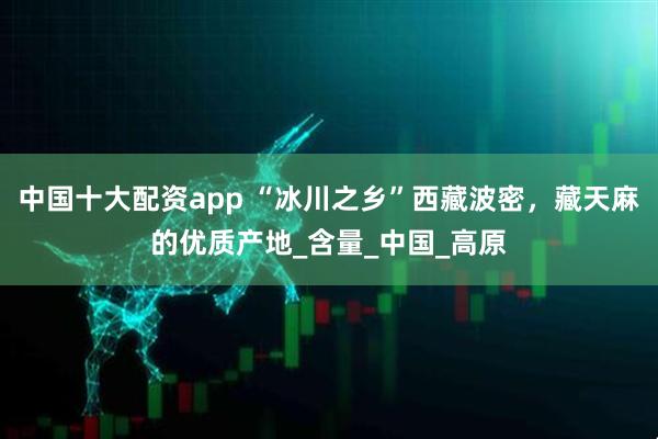 中国十大配资app “冰川之乡”西藏波密，藏天麻的优质产地_含量_中国_高原