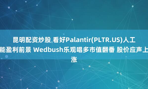 昆明配资炒股 看好Palantir(PLTR.US)人工智能盈利前景 Wedbush乐观唱多市值翻番 股价应声上涨