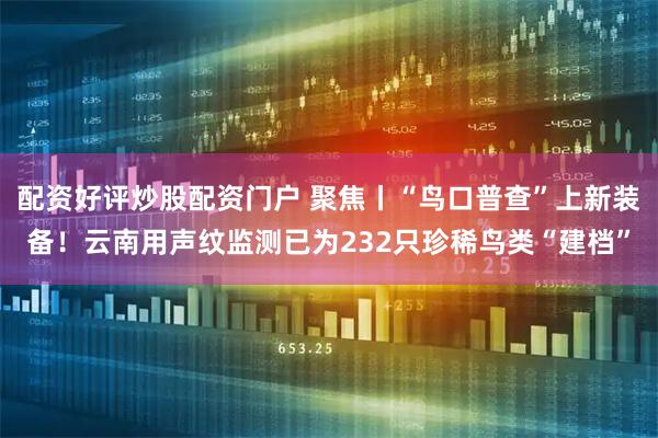 配资好评炒股配资门户 聚焦丨“鸟口普查”上新装备！云南用声纹监测已为232只珍稀鸟类“建档”