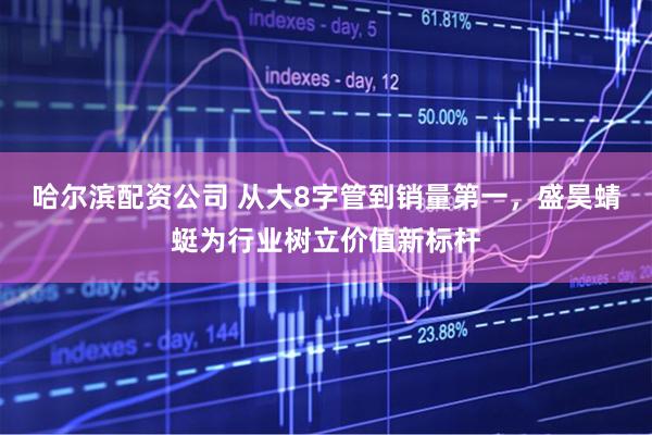 哈尔滨配资公司 从大8字管到销量第一，盛昊蜻蜓为行业树立价值新标杆