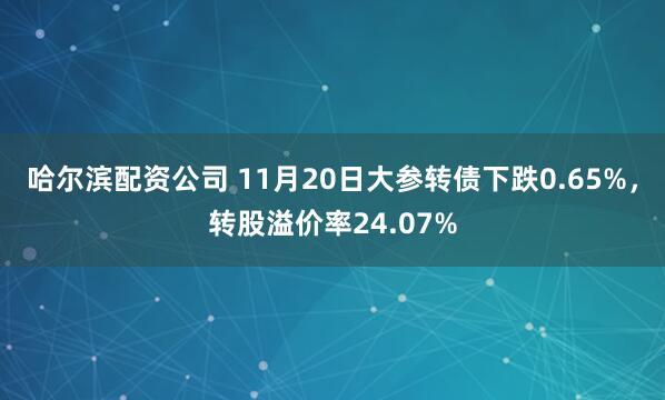 哈尔滨配资公司 11月20日大参转债下跌0.65%，转股溢价率24.07%