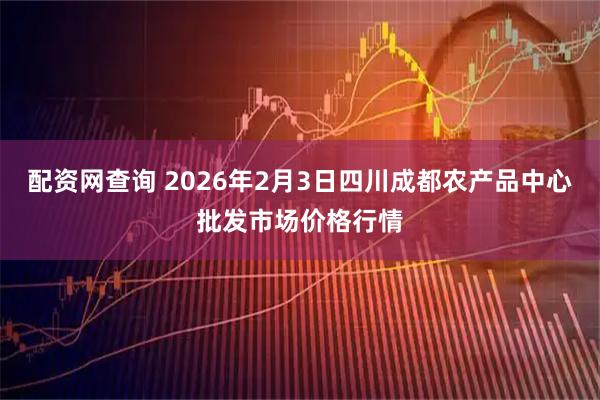 配资网查询 2026年2月3日四川成都农产品中心批发市场价格行情